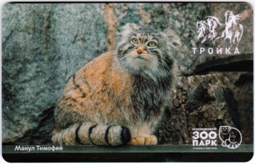 Билеты, талоны, карты для проезда в транспорте