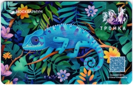 Билеты, талоны, карты для проезда в транспорте