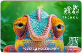 Билеты, талоны, карты для проезда в транспорте