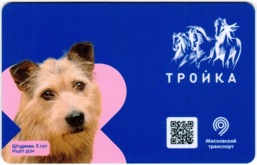 Билеты, талоны, карты для проезда в транспорте