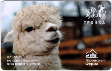 Билеты, талоны, карты для проезда в транспорте