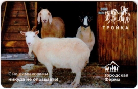 Билеты, талоны, карты для проезда в транспорте
