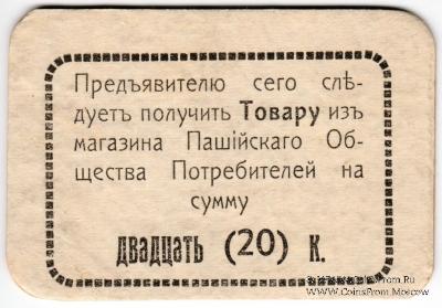 20 копеек 1918 г. (Пашия)