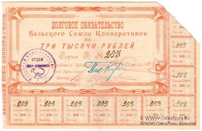 3.000 рублей 1920 г. (Вельск)