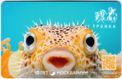 Карта 